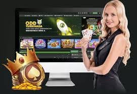 8mbets net